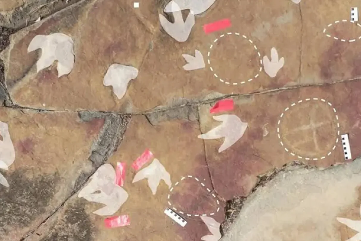 Gravuras rupestres próximas a pegadas de dinossauros no Sítio Serrote do Letreiro, em Sousa, Paraíba. (Créditos: Reprodução)