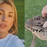 Lívia Andrade retira sapo com as próprias mãos e dispara: "Tem menos veneno que a língua do povo". (Foto: Instagram)