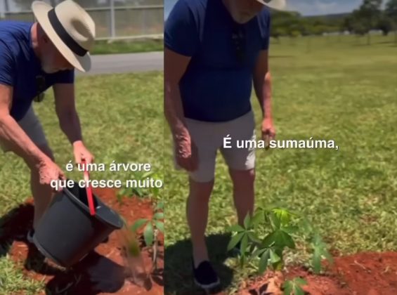 Lula e Janja plantaram mudas de sumaúma, no Palácio da Alvorada. (Foto: Montagem Instagram)
