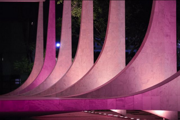 O PCdoB considera que houve violação à Constituição pelo TJRJ (Foto: Instagram)