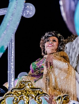 A cantora foi a gande homenageada desse ano pela escola de samba. (Foto: Instagram)