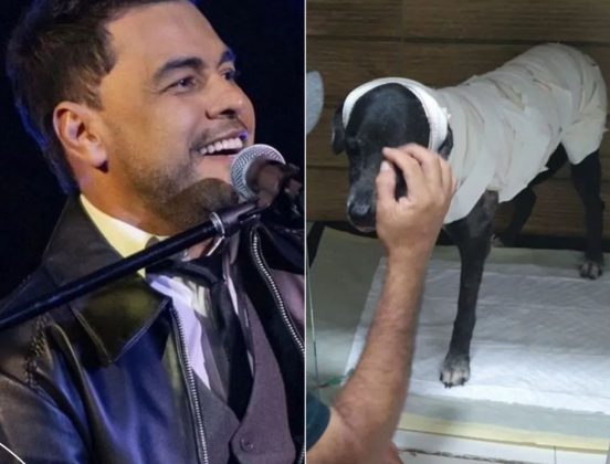 Zezé disse que vai adotar cadela que foi queimada em Teresina. (Foto: Montagem Instagram)