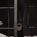 "Tô sonhando com essa vitória. Meu filho está feliz no céu. A Justiça cumpriu a lei, é para colocar essas pessoas que fazem muito mal na cadeia", comentou Marisilva Moreira após receber a decisão da Justiça sobre o caso do filho. (Foto Pexels)