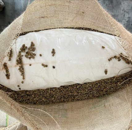 A carga foi selecionada com base nos critérios de gerenciamento de riscos da própria Receita Federal. (Fonte: Instagram)