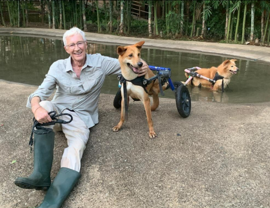 Seu amor pelos animais, especialmente por seus cinco cães, era evidente em sua vida e agora é honrado em seu testamento. (Foto: Instagram)