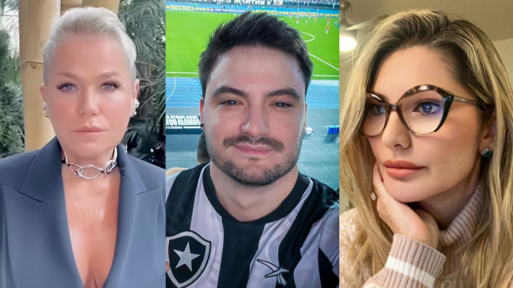 Maria da Graça Meneghel defende Felipe Neto e Antônia Fontenelle detona a apresentadora: "Terceira idade" (Foto: Instagram)
