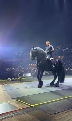 O animal, da raça Friesian, pertence ao haras do cantor. (Foto: Instagram)