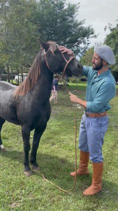 Matteus se emociona ao reencontrar seu cavalo: “Alegria que não cabe no peito” (Foto: Instagram)