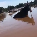 O aeroporto teve que ser fechado e por tempo indeterminado. (Foto: Instagram)