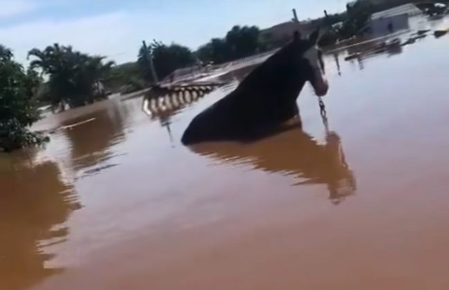 O aeroporto teve que ser fechado e por tempo indeterminado. (Foto: Instagram)