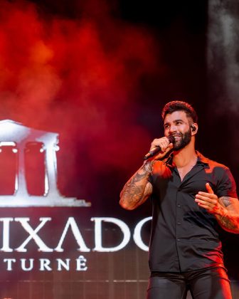 Fã cai de palco de Gusttavo Lima ao tentar invadir (Foto: Instagram)