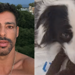 Cauã Reymond celebra a recuperação de Shakira após envenenamento: "Sextou com ela em casa" (Foto: Instagram)
