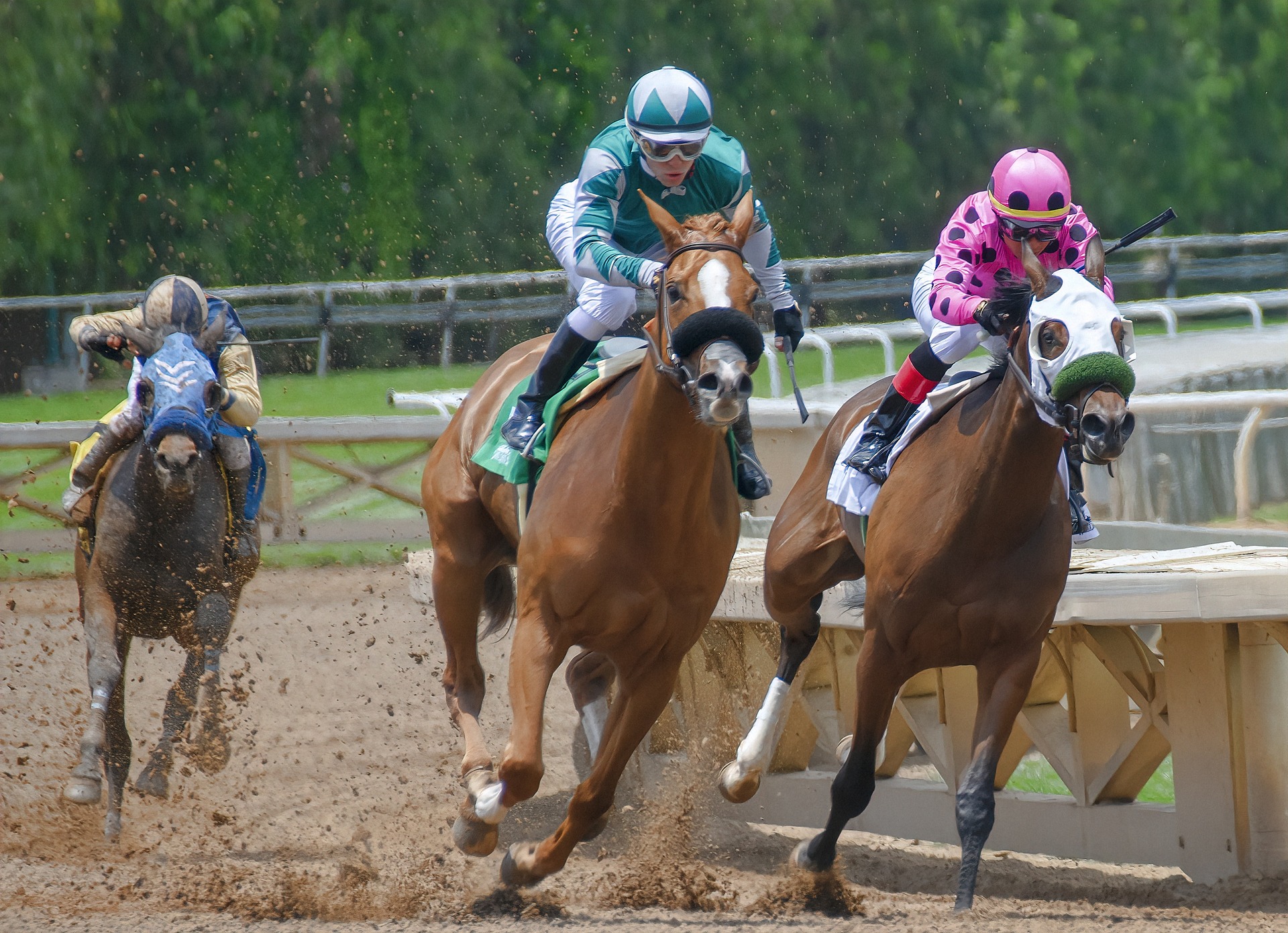 Apostas Esportivas (Foto: Clarence Alford / Pixabay)
