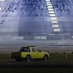 Cachorro invade pista e paralisa decolagens no aeroporto de Guarulhos. (Foto: Reprodução/Golf Oscar Romeo via Aeroin)