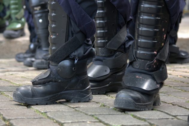 A Polícia Militar do Estado de São Paulo colaborou com a operação. (Foto Pexels)