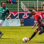 Agora, os estados, o Distrito Federal e os municípios que possuam sistemas próprios de esporte devem incluir projetos educativos que conscientizem seu público. (Foto Pexels)
