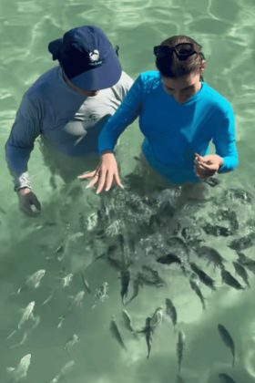 Águas cristalinas e mergulho entre peixes coloridos. (Foto: Instagram)