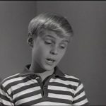 Jay North: um astro infantil que deixou sua marca na história da TV. (Foto: Reprodução)