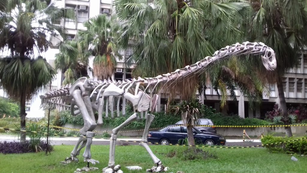 Crânio fossilizado de herrerassaurídeo com marcas de lesões cicatrizadas, evidência de confrontos entre os primeiros dinossauros predadores do Brasil. (Créditos: Reprodução) Crânio fossilizado de herrerassaurídeo com marcas de lesões cicatrizadas, evidência de confrontos entre os primeiros dinossauros predadores do Brasil. (Créditos: Reprodução)
