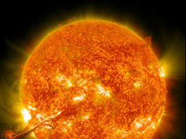 Elon Musk quer levar a humanidade para Marte antes que o Sol destrua a Terra. (Créditos: Reprodução) Photo by NASA