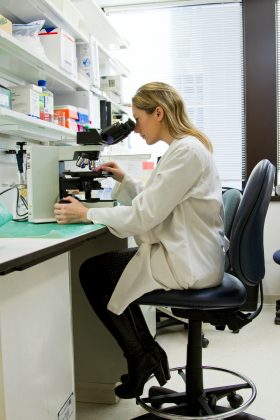 Atualmente, as mulheres correspondem 61,8% dos matriculados nos cursos de graduação em medicina (Foto: Unsplash)