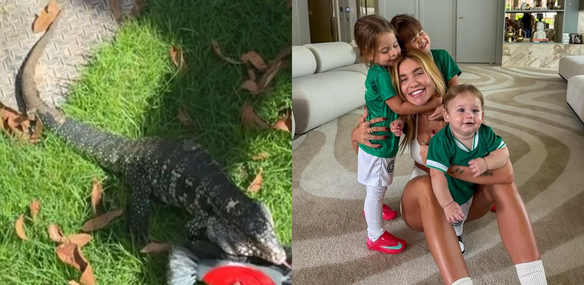 Lagarto invade mansão de Virginia Fonseca e ela chama resgate: "Olha o tamanho desse bicho" (Foto: Instagram)