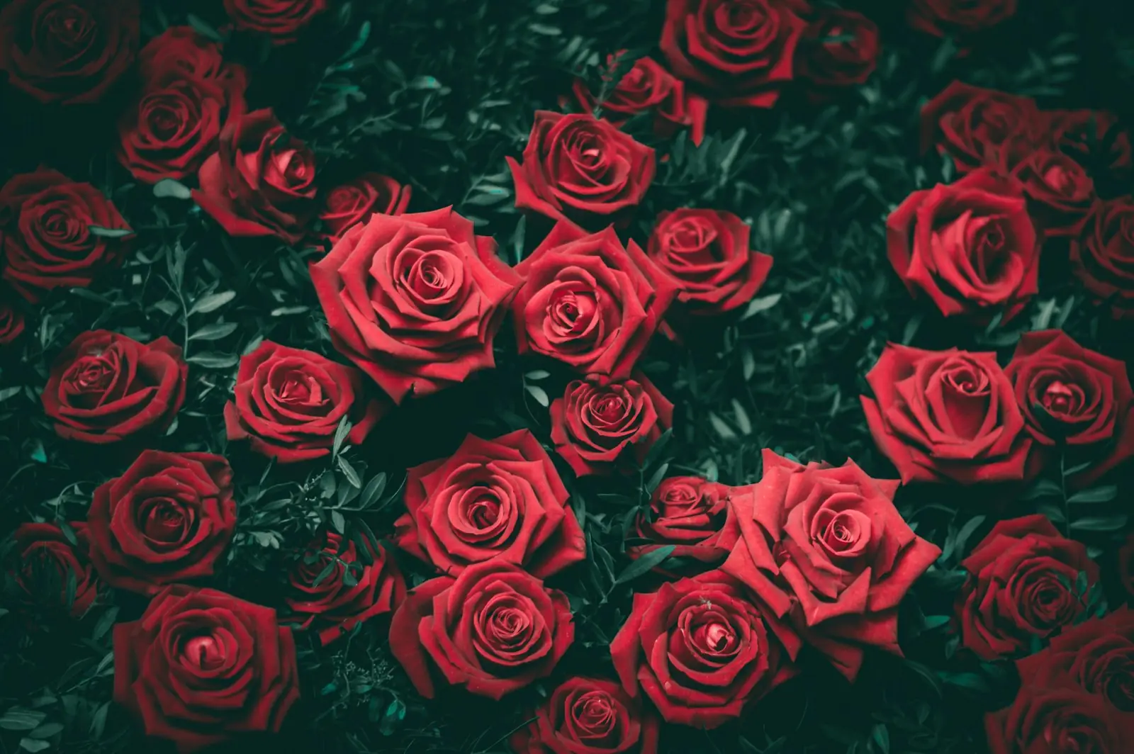 O lado invisível da morte: aromas sem origem despertam reflexões. (Créditos: Unsplash / Biel Morro)
