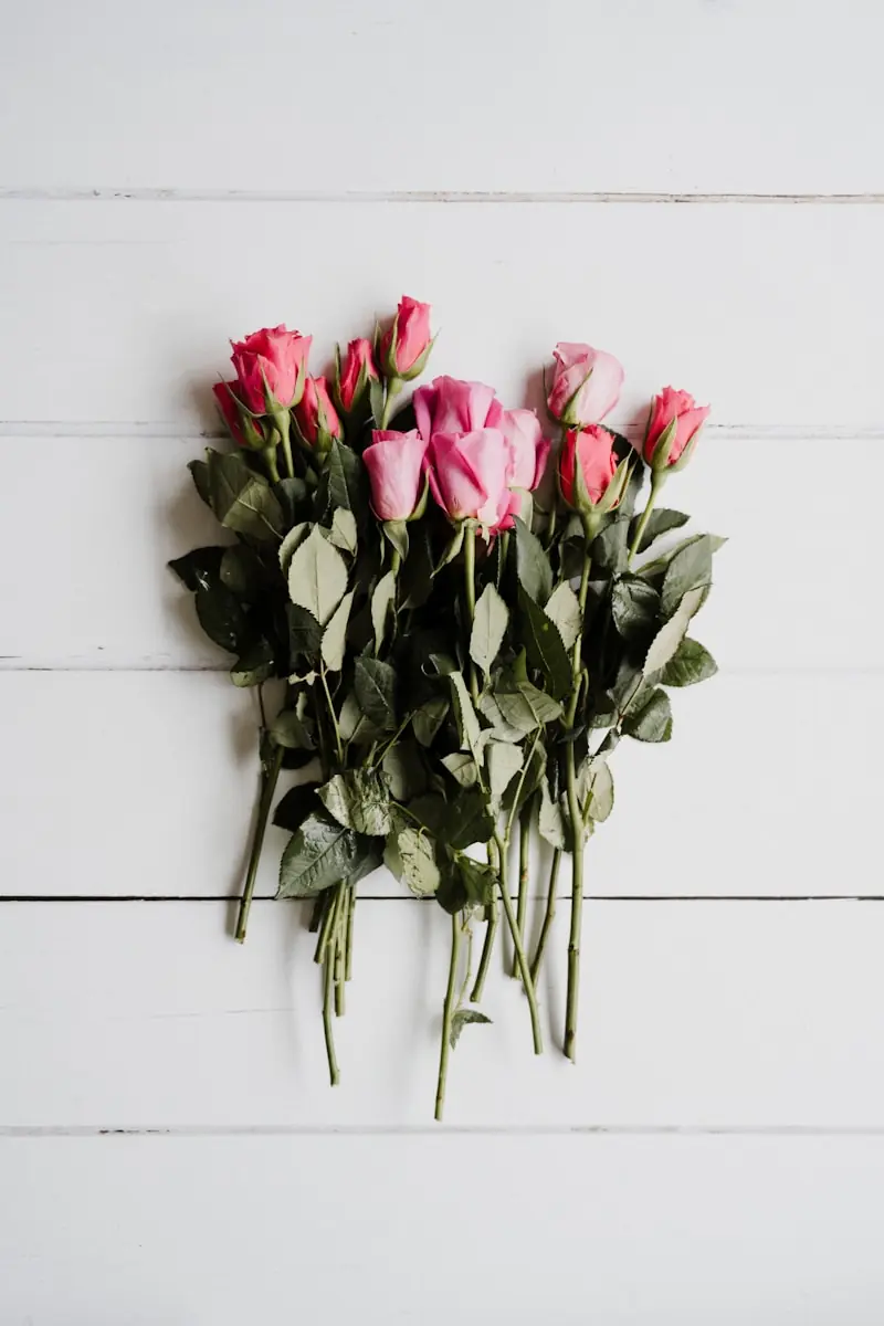 Reddit reúne depoimentos marcantes sobre o aroma da morte. (Créditos: Unsplash / Annie Spratt)