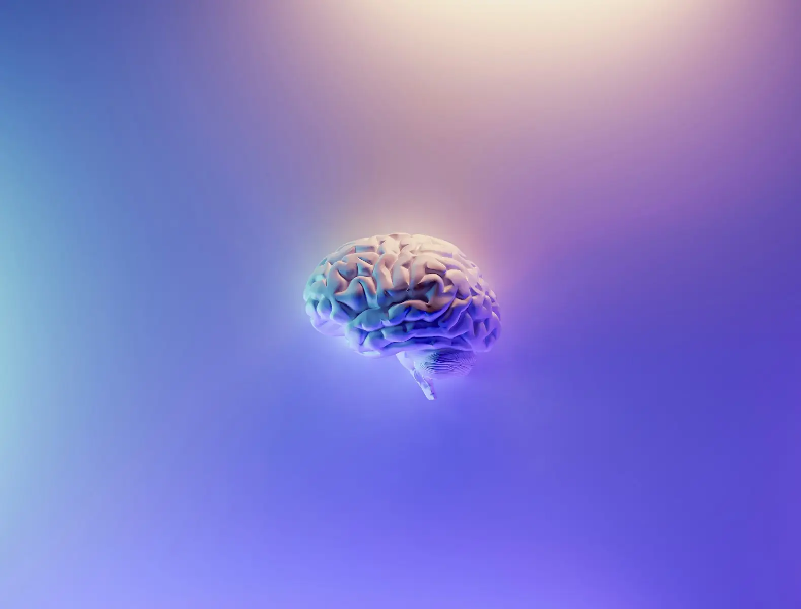 Tecnologia de ponta revela atividade cerebral em tempo real (Créditos: Unsplash / Milad Fakurian)