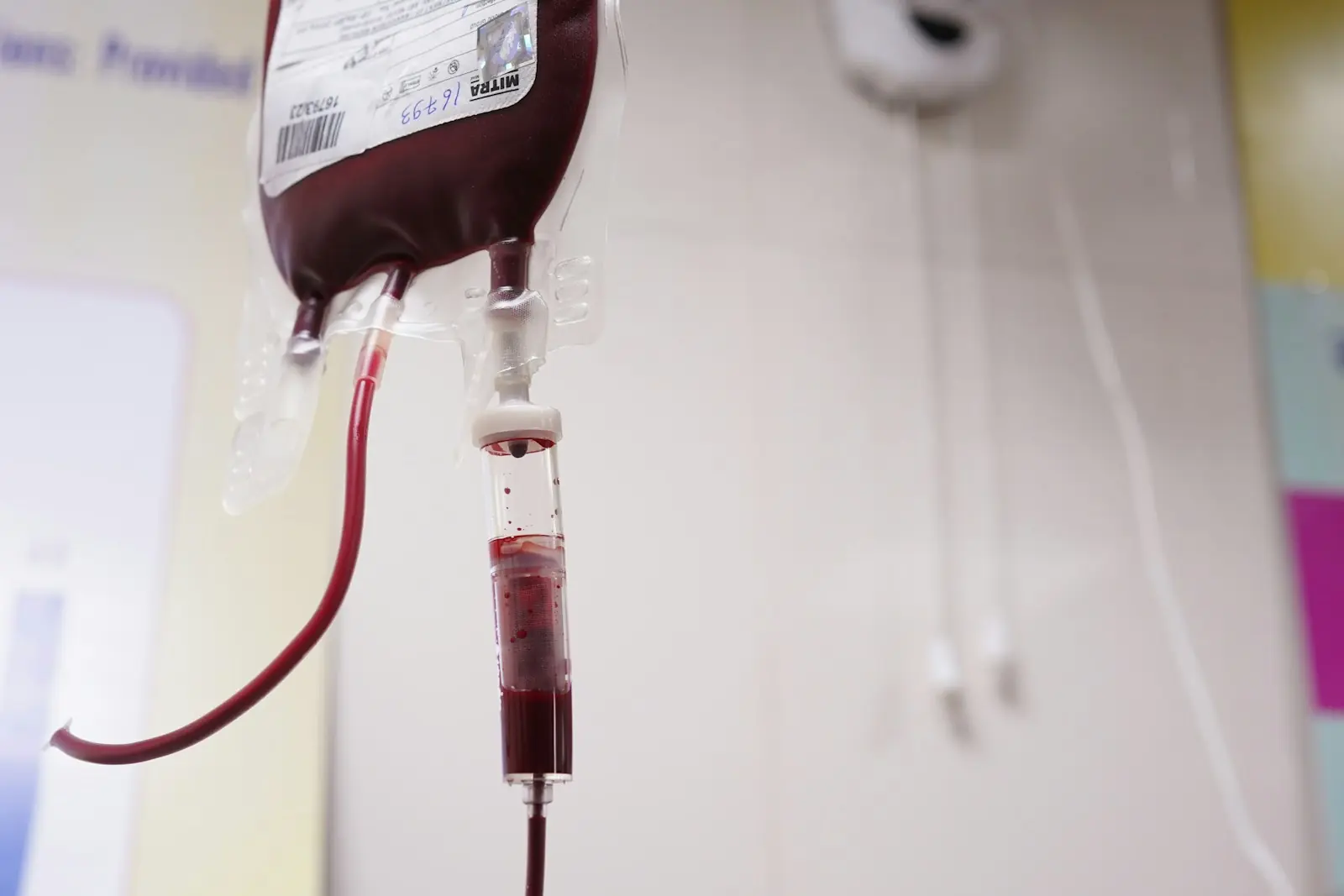 Representação artística sobre os diferentes tipos de sangue (Créditos: Unsplash / Aman Chaturvedi)