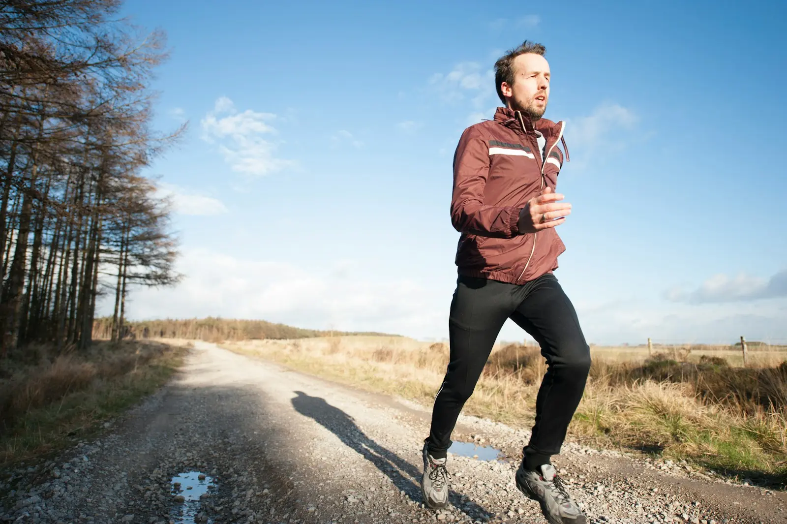Metabolismo em alta após exercícios de força (Créditos: Unsplash / Jenny Hill)