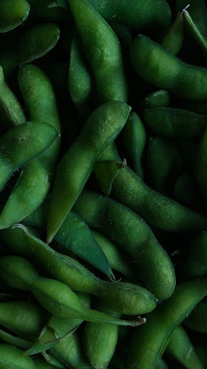 Leguminosa reúne proteínas, fibras, vitaminas e minerais. (Créditos: Unsplash / Filipp Romanovski