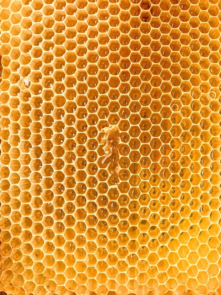 A golden honeycomb with hexagonal cells filled with liquid honey