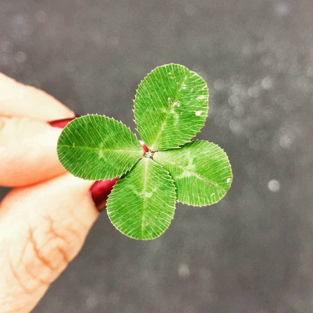 O ranking destaca os signos com energias mais positivas no mês. (Créditos: Unsplash / Amy Reed)