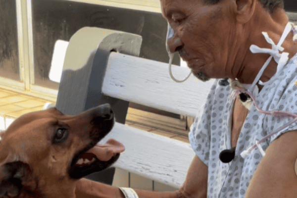 Após 15 dias internado para tratar um câncer, idoso recebe visita de sua cadela e encontro comove equipe de hospital