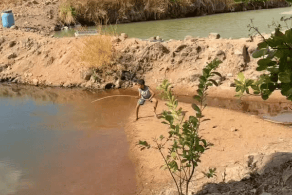 Garoto comemora pescaria, mas corre ao ver o tamanho do peixe