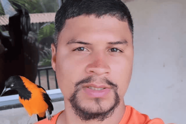 Pássaro cria amizade com homem e canto da ave encanta internautas