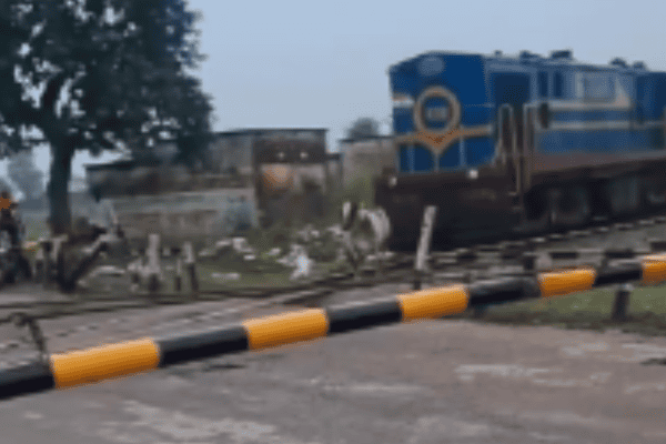Vaca sobrevive após ser atingida por trem em alta velocidade