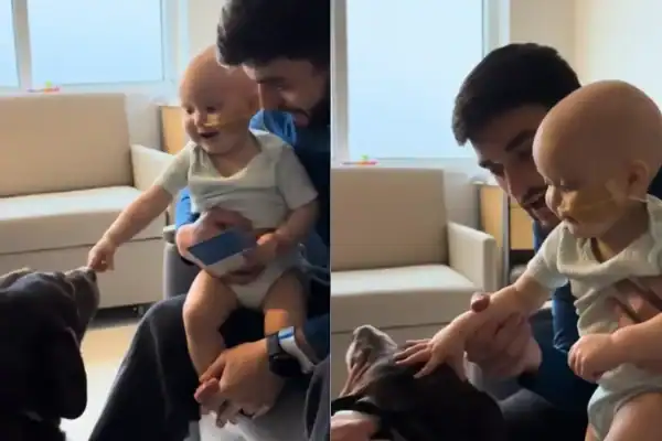 Menino com câncer raro se emociona ao conhecer cachorro terapeuta: “Ele se iluminou”