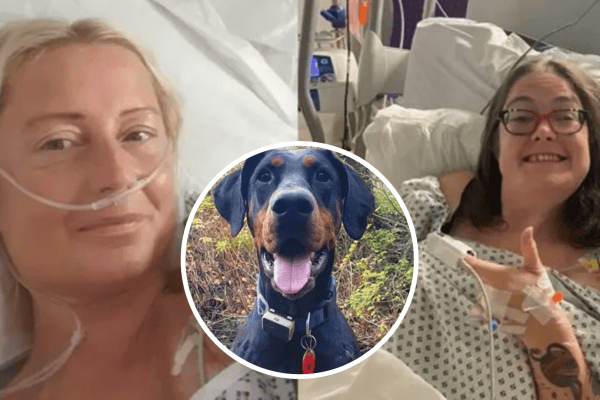 Mulher precisava de um rim compatível e encontrou a doadora graças ao cachorro
