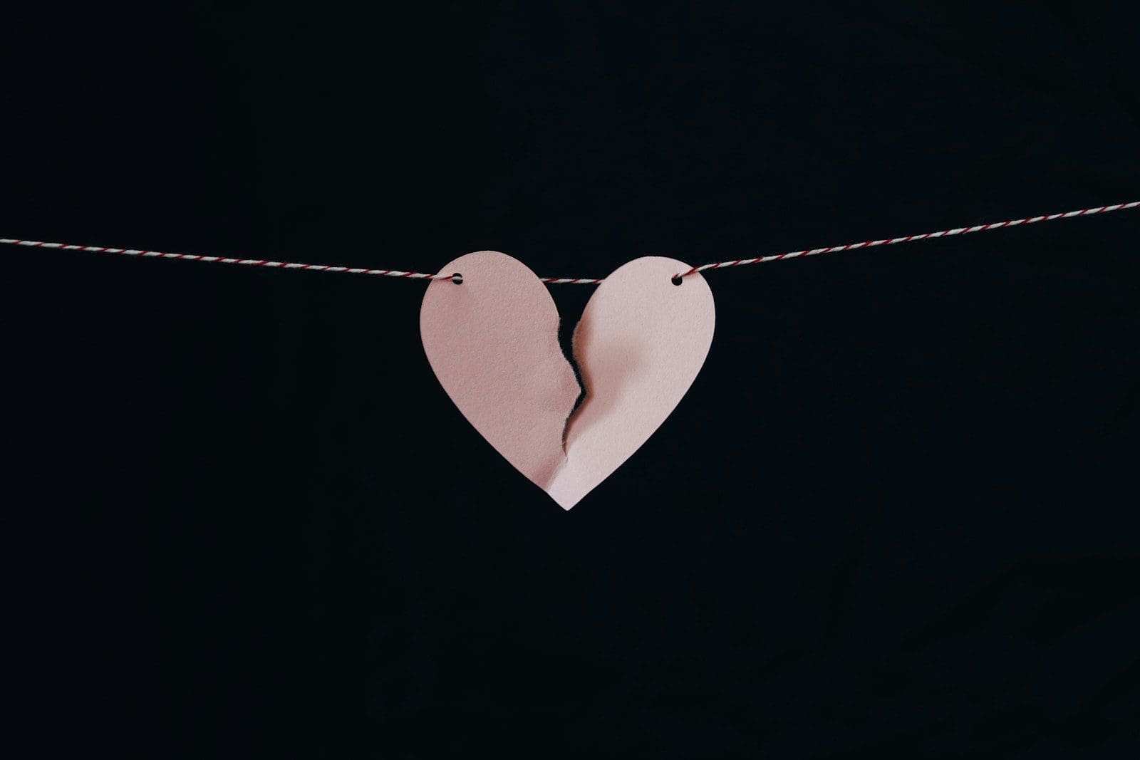 O comportamento durante a navegação ajuda a definir os próximos conteúdos do feed (Créditos: Unsplash / Kelly Sikkema)