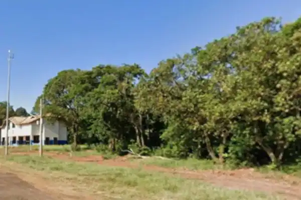 Homem é achado morto com ferimentos na cabeça em bosque de MS