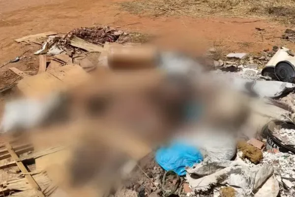 Denúncia sobre pé humano conduz guardas a descoberta macabra em Palmas