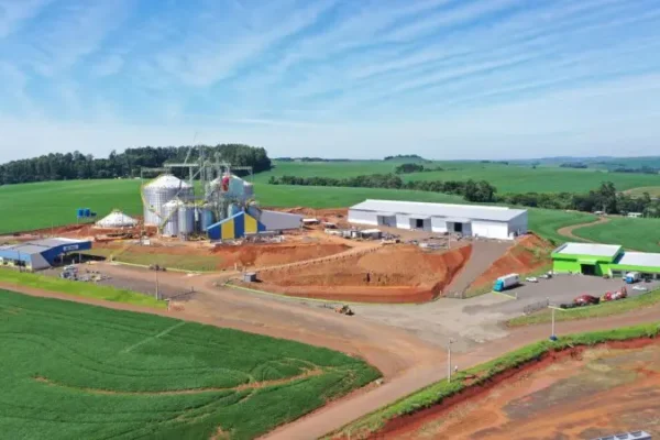 BNDES autoriza R$ 42,8 mi para Coasul expandir armazenagem de grãos no PR