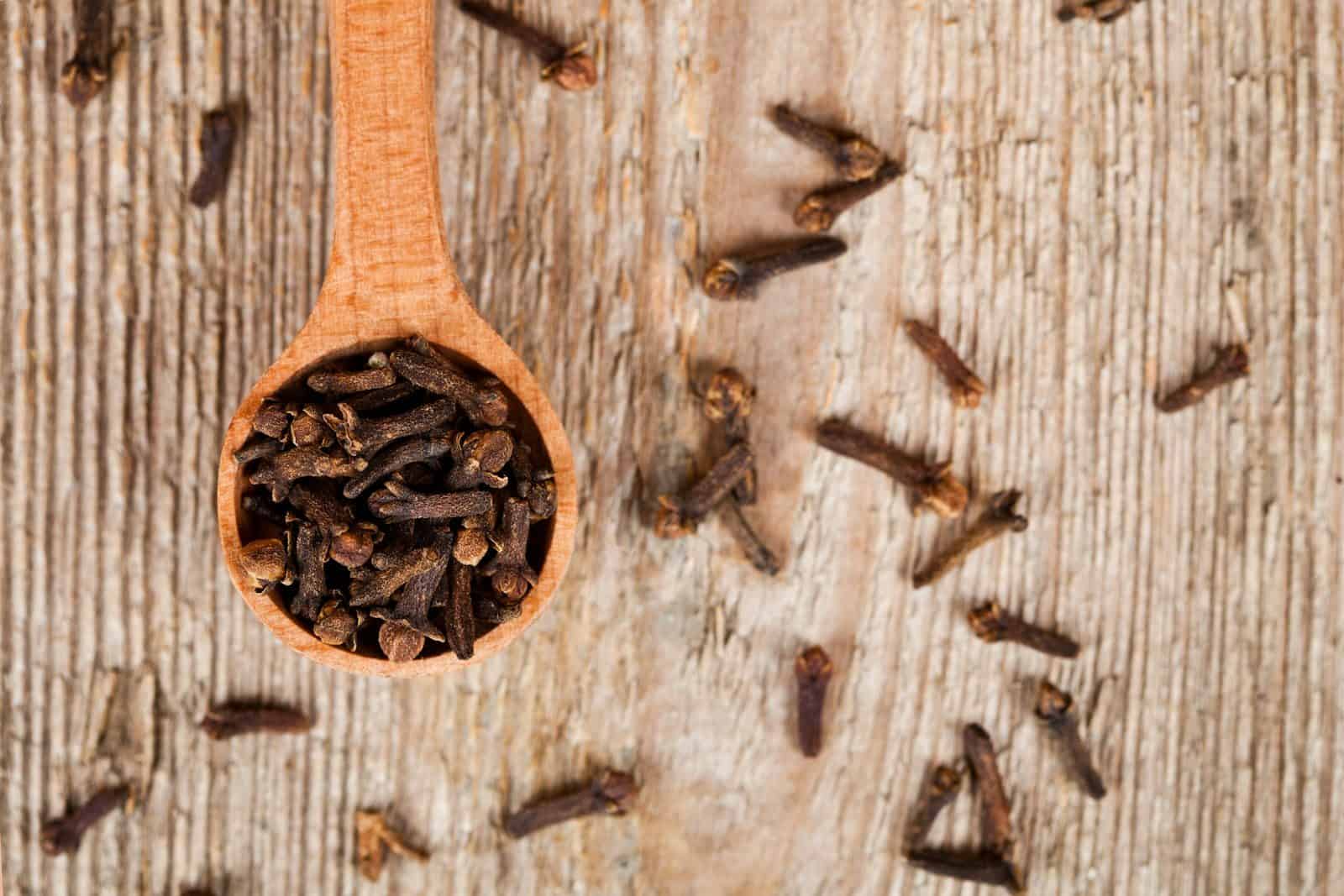 Cravo-da-índia concentra compostos naturais estudados pela ciência (Créditos: Unsplash / Maria Kovalets)