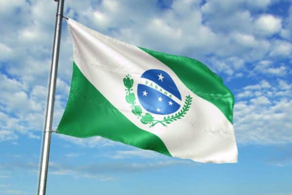Paraná é eleito o estado com a melhor educação básica do Brasil