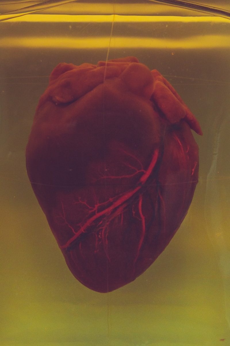 A atenção aos fatores cardiovasculares contribui para uma recuperação mais segura. (Créditos: Unsplash / camilo jimenez)