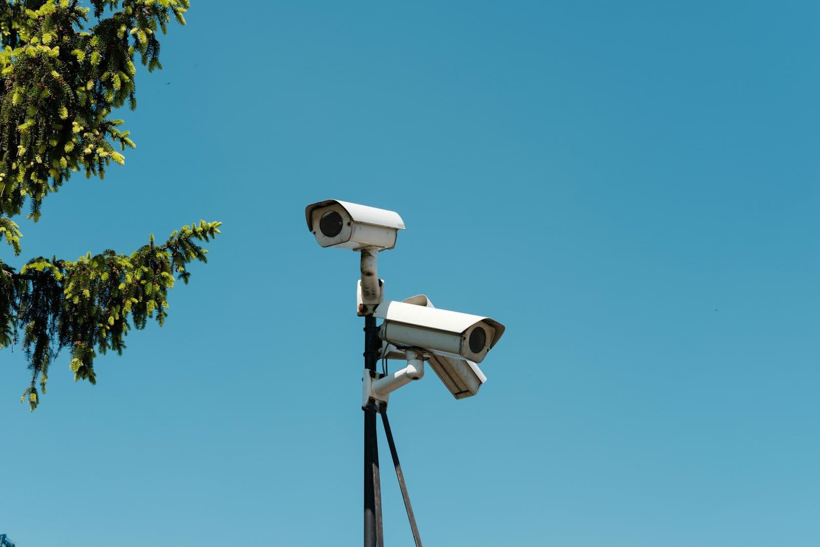 Privacidade em hospedagens de temporada volta a chamar atenção (Créditos: Unsplash)