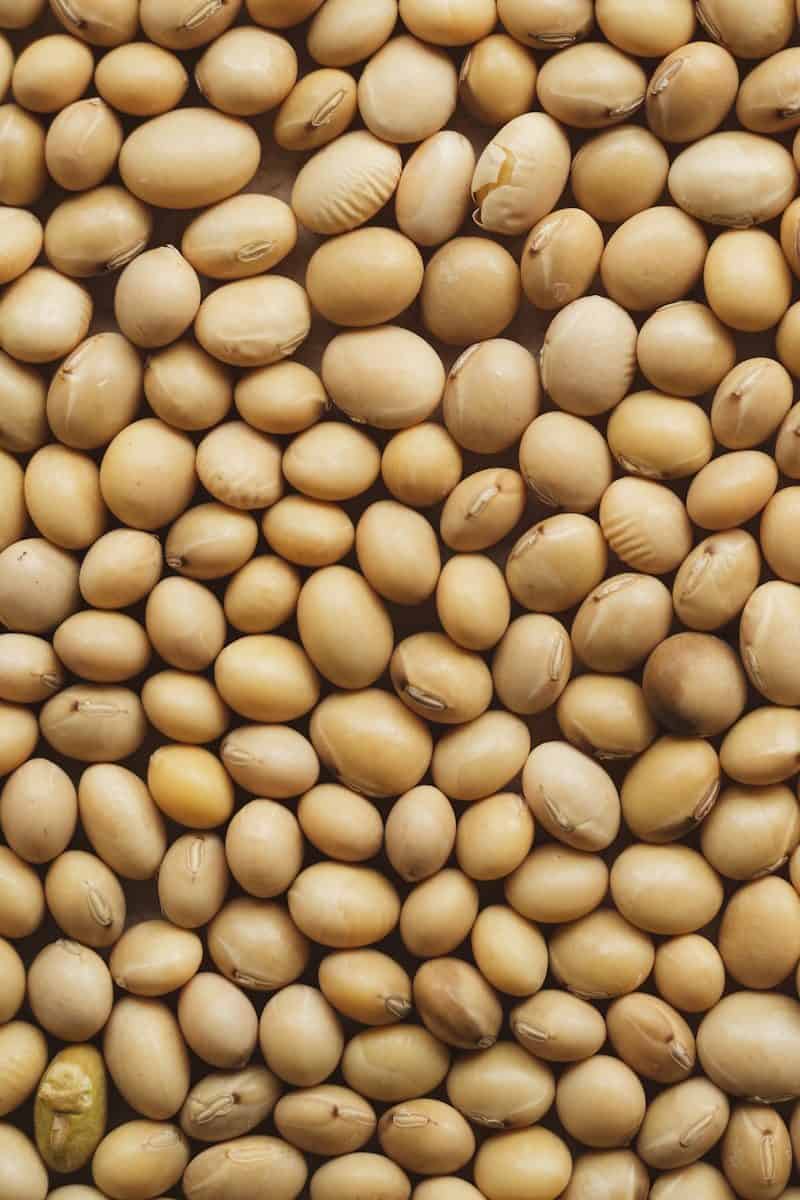 Tofu está entre os derivados mais conhecidos da soja. (Créditos: Unsplash / 360floralflaves)