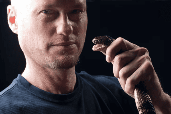 Sangue de homem picado por mais de 200 cobras surpreende cientistas e vira base para antídoto